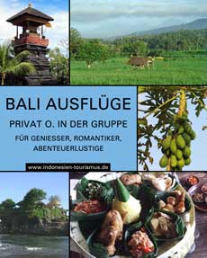 Bali Ausflüge