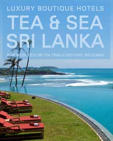 Ceylon Tea & Sea