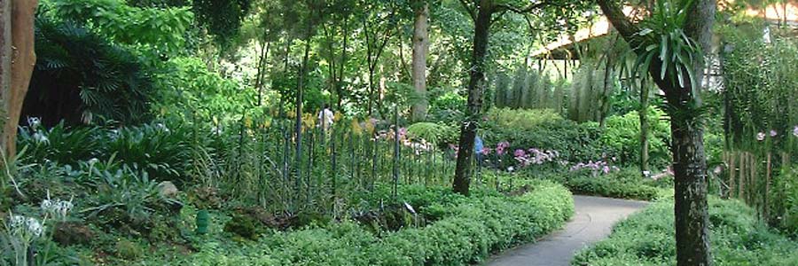 Singapore Botanic Gardens