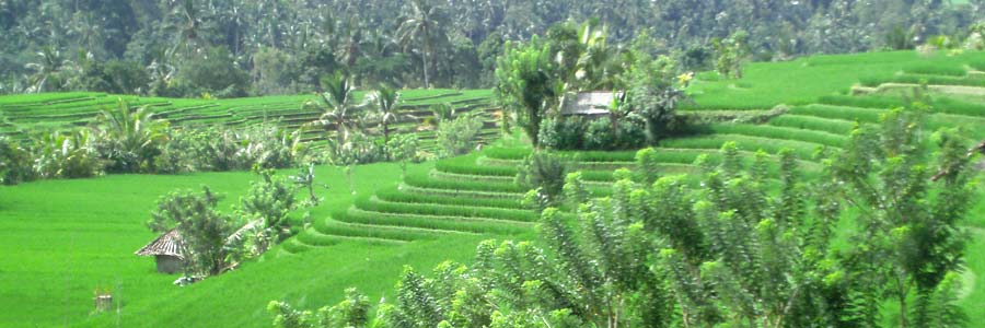 Bali Insel der Götter