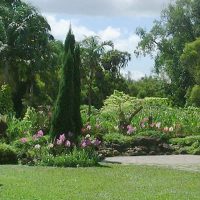 Singapore Botanic Garden