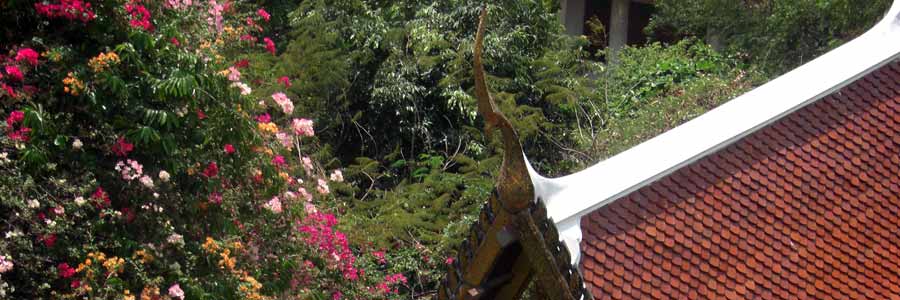 Phuket Perle der Anadamanen See